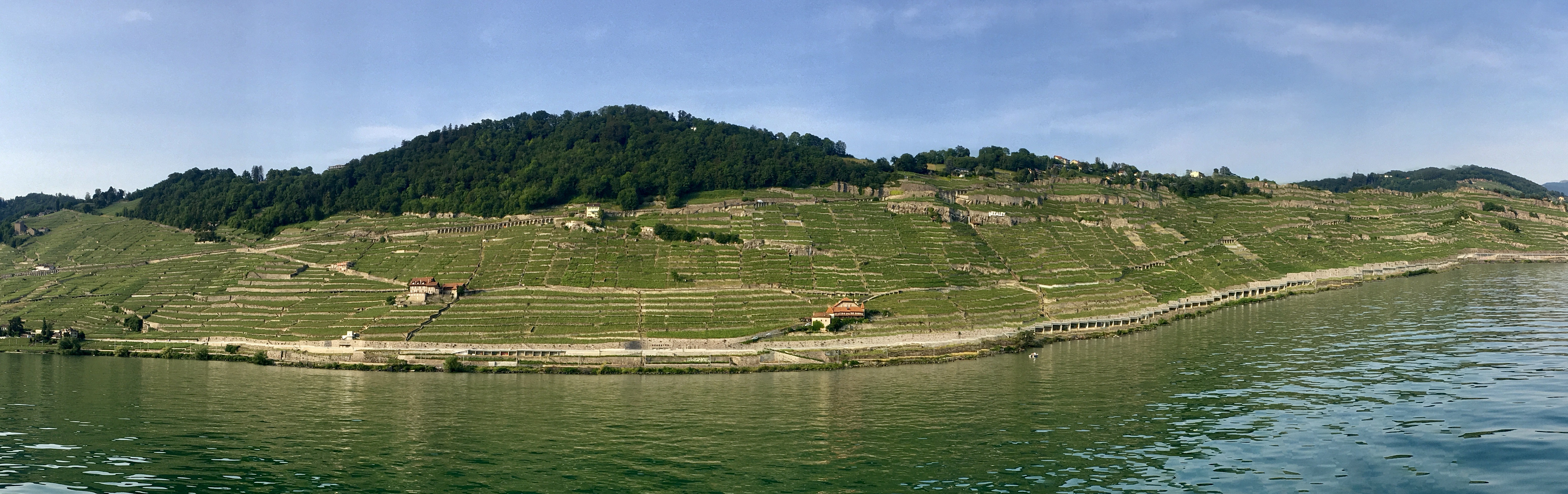 Vue des coteaux de Lavaux