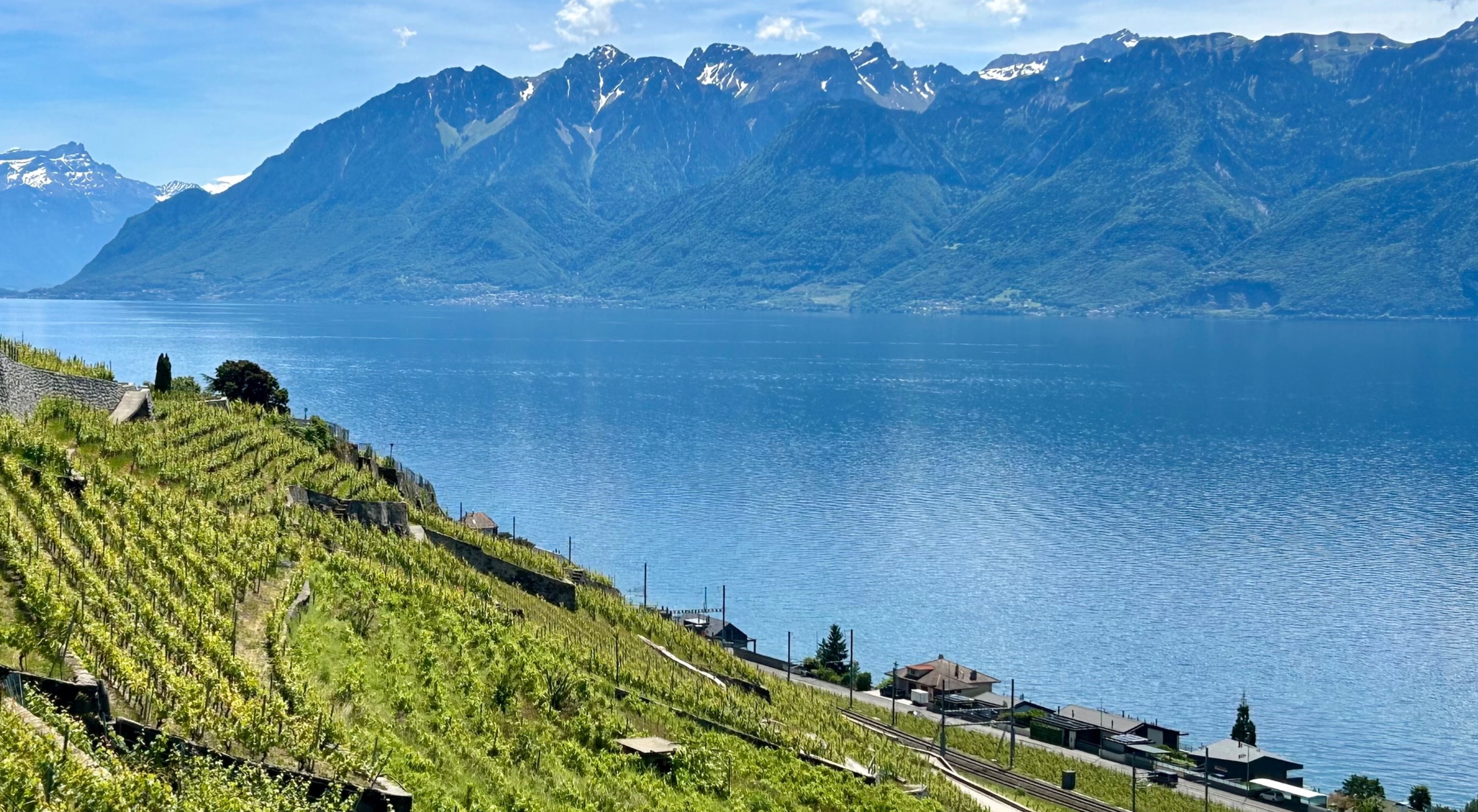 Vue des coteaux de Lavaux